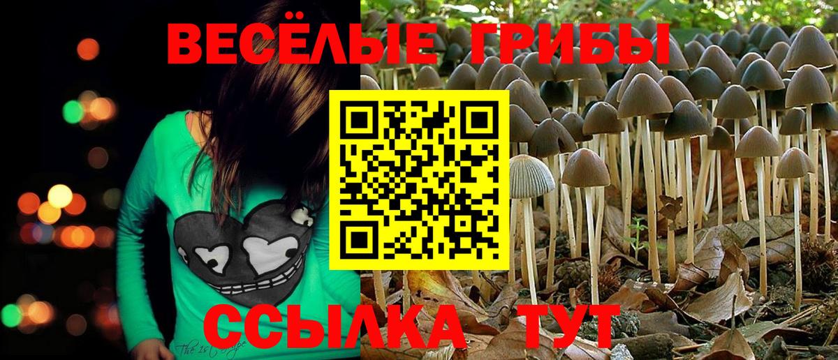 Галлюциногенные грибы Magic Shrooms Обнинск