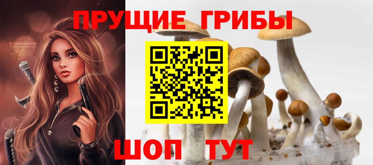 где можно купить   Вход с VPN  Обнинск  Псилоцибиновые грибы Magic Shrooms 